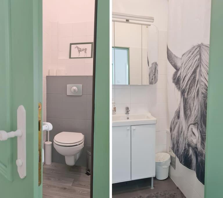 Cosy Family Apartment رايشناو المظهر الخارجي الصورة