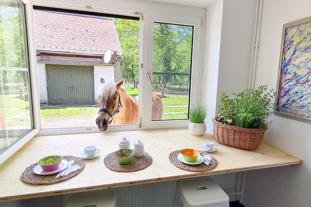 Cosy Family Apartment رايشناو المظهر الخارجي الصورة